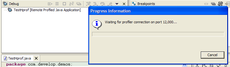 Waiting for connection image